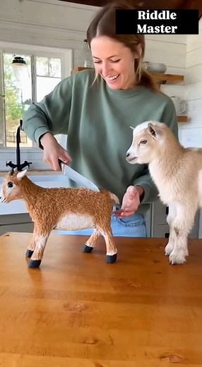 Bro said THAT is NOT my cousin | Riddle Master