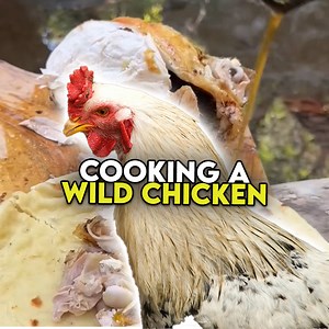 This is the juiciest chicken ever 🐔🍗 | Cooking Wild