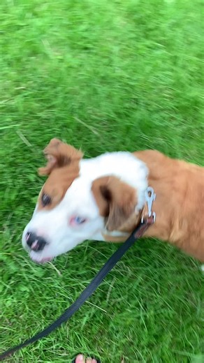 Kimberly Turner on TikTok