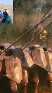 1.1K views · 15 reactions | Beautiful cabin crew  Scarlett Johansson #Art #Artist #ArtGallery #Painting #Imagination #BOOMchallange #MeganFoxRedCarpet #follower #BMW #FreeImranKhanNow #follow #fbpost2025シ #travelagencyformuktinathpathivaracollaboration #iran #iran | Usman kharal | Facebook