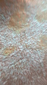 3.2K views · 29 reactions |  Discover the beauty of the Mediterranean in your own backyard!  Introducing our latest arrivals: mature olive trees and other exquisite Mediterranean plants. Bring a touch of serenity and elegance to your outdoor space.  Visit us today and add a dash of Mediterranean charm to your garden!  #MediterraneanGarden #NewArrivals #OliveTrees #OutdoorOasis #Arboretum | Arboretum Home & Garden Heaven | Facebook