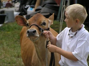 Haddam Neck Fair Schedule