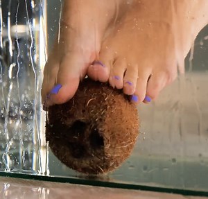 Gardening Gadgets and Hacks For Your Backyard | JOON