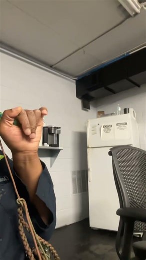 Duck commander “the flash” mallard hen call