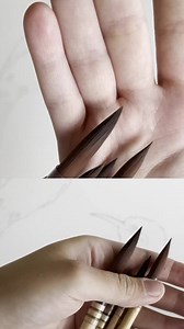 40K views · 1.8K reactions | Rainbow bee-eater | Polina Bright | Facebook