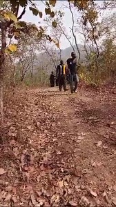 Joint Security leading kidnap victims from Kogi forest to safety. 24 persons, including students and staff of Comprehensive High School Ajaokuta as well as other travelers were abducted by bandits along Ajaokuta-Adogo road on Thursday. | Latest KogiNews