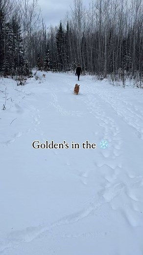 Snowflake lounge for June & August | True North Trout