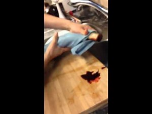 How to kill and clean a live eel