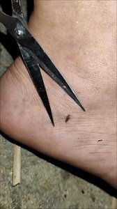 How to Build an Effective Mosquito Net Door for Cheap 💸 . . . . . . #BudgetFriendly #DIYDecor #HomeImprovement #SaveMoney | Lexus Pet Boutique