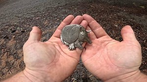 19K views · 627 reactions | I went scuba diving in the river to go treasure hunting and found some cool stuff and one banger find! #treasure  | Exploring with the Nug | Facebook