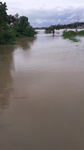 BAGYO ODETTE UPDATE | Lubog sa karon sa tubig-baha ang karsada sa Barangay Fernandez, Maayon, Capiz. Bangud diri, indi makaagi ang mga motorsiklo kag magagmay nga mga salakyan. Video from: Rovil Alcazaren Villasoto By: Joshua Kenneth Anas | December 17, 2021 Ini nga balita gindul-ong sa inyo sang THE POWER TRIO! #ClinicaDTX500- The superior antioxidant! #ClinicaD3BIO - The antiviral specialist! #PURECEE -The immunity booster! 𝙉𝙖𝙜𝙖𝙗𝙖𝙣𝙙𝙚𝙧𝙖 𝙨𝙖𝙣𝙜 𝙢𝙖𝙩𝙪𝙤𝙙 𝙣𝙜𝙖 𝙨𝙚𝙧𝙗𝙞𝙨𝙮𝙤 �