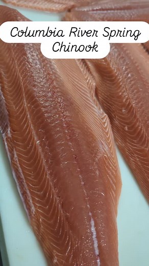 Fresh Columbia River Spring Chinook in stock now. #springers #portlandfishmarket #woodstockportlandoregon #fishmonger #fishmarket #seafoodie #chinook | Portland Fish Market
