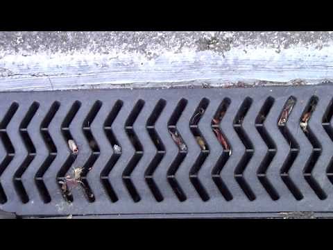 How to clean an ARCO Drain