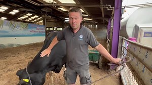We visited Halton Farms near Congleton today (famous for their Milk Shack vending machines) to meet dairy cow Midnight and farm vet Mark. They’ve been hosting an open farm day today, welcoming members of the public onto the farm to see how they do things! 🐮💕 | So Cheshire