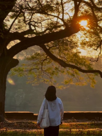 1.7K views · 205 reactions | Sunrise at Angkor Wat Temple, Siem Reap ❤❤ | Sina Chuon - ជួន ស៊ីណា | Facebook