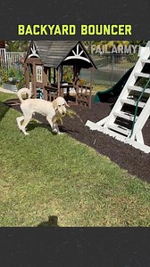 Damn Nature, You Scary! 🤣😳 | FailArmy