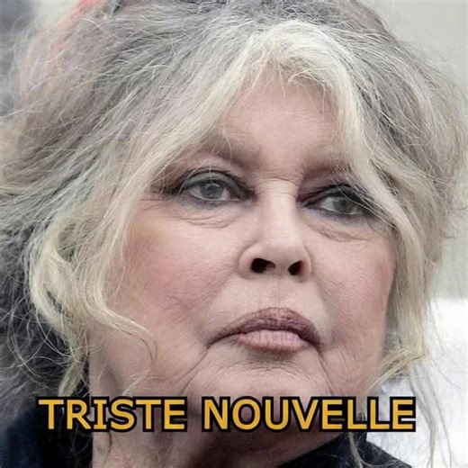 Brigitte Bardot : les pompiers appelés en urgence à son domicile, on vient d'apprendre la triste nouvelle à 88 ans 🙏 Voir le 1er commentaire | Femmes Mag