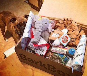 232K views · 1.5K reactions | BarkBox delivers unique toys and all-natural treats every month so you can spend more time on important things...like belly scratches and fetch. (Shipping to Canada for just $5/box) | BarkBox | Facebook