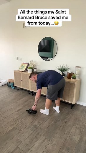 My Knight in Furry Armor 😂🐶 #dogsoftiktok | Zack Zornes