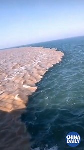 Look what happens when the Yellow River meets the ocean. #ChinaStory | China Daily