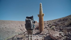 Our appreciation for the Altiplano and Atacama has reinforced our commitment to its protection. In the Puritama Conservation Reserve, we aim to preserve the landscapes, ecosystems, and archaeological sites within its 7,152 hectares (17672.98 acres). 95% of that territory is destined exclusively for conservation, while the other 5% is part of sustainable tourism meant to multiply the love for nature. Visit the Reserve with us and you'll love the Highlands as much as we do! | Explora Travel
