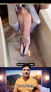 205K views · 1.2K reactions | কিভাবে করে মানুষ沈 #StarSender #vairalreelsfb #vairalreels #foryouシ #sabr #sabr #allah | Selim Dp Vlog | Facebook