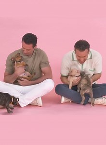 Marvel superheroes AND puppies?!! 🐶 CUTENESS OVERLOAD! - Carlie B 🎥: BuzzFeedCeleb | Halifax's Move
