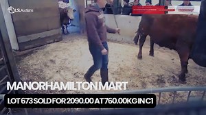 www.lslauctions.com/Premium | ManorHamilton Mart Lot 673 recently...