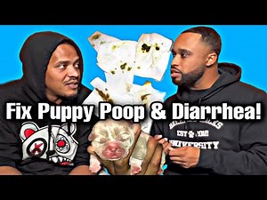 Fix puppy yellow, green and bloody poop & Diarrhea 💩