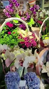 54 reactions |  Cel mai frumos CADOU? FLORILE, bineinteles  Vino in florariile Trias sau comanda pe florariatrias.ro superbe aranjamente florale din plante naturale, la ghiveci  Ai transport gratuit la comenzi de 200lei  | Floraria Trias | Facebook