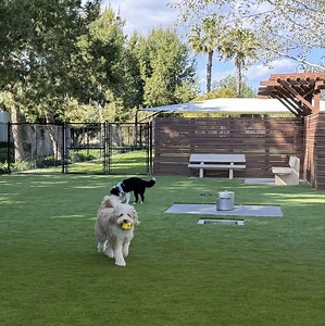 [Hot Item] Landscape Artificial Turf/Garden Decoration Green Soft Artificial Grass Synthetic Grass Carpet