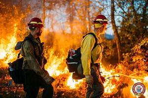 Wildfire 90% contained as crews from 22 N.J. towns respond