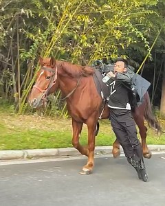 2.8M views · 10K reactions | Check out cool horse riding skills | Sonido yankyss | Facebook