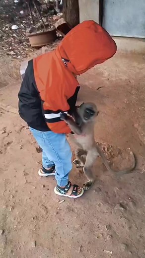 #sanatanihindu #hindustan #BatogeToKatoge #sanatandharma #cuteomy #hindu #bharat #hinduism #hindurashtra #naturelovers #naturephotography #nature | Sunil Swain