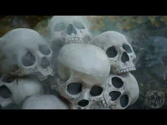 Fogging Skull Pile - 2016 Online Video