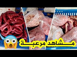 مشاهد كارثية😱 هذا ما وجدته مصالح التجارة بمستغانم خلال خرجة فجائية لمحلات بيع اللحوم