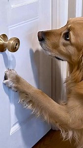 135K views · 1.9K reactions | MY BOYFRIEND CLAIMED THE LOCKED ROOM IN...