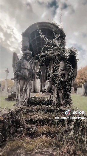 Cuentas recomendadas