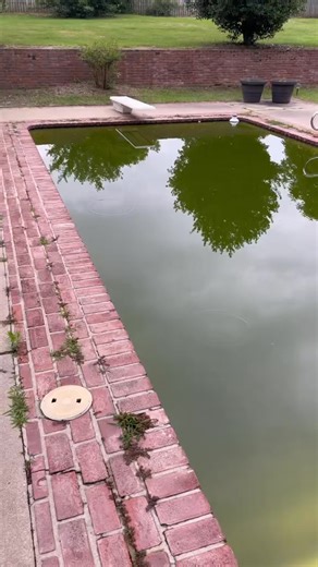 3K views · 18 reactions | The Story of Our Pool! Through the years, our pool has seen it all-countless memories, endless fun, and plenty of upgrades. | Nik and Liv DIY | Facebook