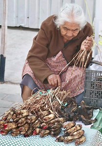 Geraldine Gonzalez on Reels