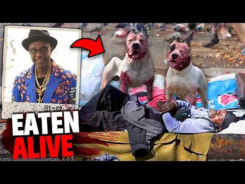 This Man Was EATEN ALIVE By Pack of PITBULLS During Late Night Walk!