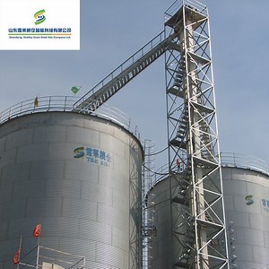 [Hot Item] Rice Wheat Corn Maize Transportation Equipment Bucket Conveyor Grain Elevator Price