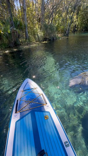 3.1K views · 35 reactions | iRocker SUP on Reels | Facebook