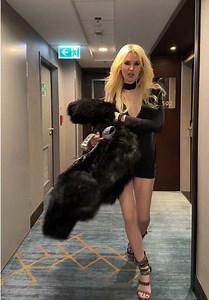 DTAM Release Date Announcement