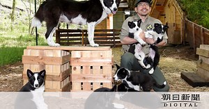 いずれクマが恐れるように？国内初、対策犬の子犬繁殖