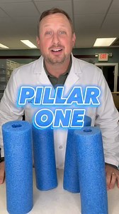 In this week’s FAST Facts video, Easton Bryant explains the first pillar of FAST’s Roadmap to a Cure - don’t miss the fun reference from the TV show, Baywatch! | Foundation for Angelman Syndrome Therapeutics
