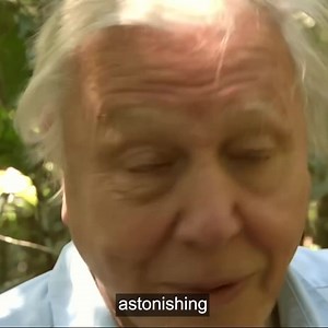 3.6K views | Dan Andrews on Reels | Facebook