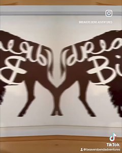 Let “Dream Big” satisfy your soul 﫶 rent a cabin with us for endless fun at & nearby your cabin! Visit the new @Gallery 259️️ during your trip #newadventures #traveldestination #luxurycabins #pineforest #oklahomacabins #dream #beauty #getaway #homesweethome #usa #lakelife #riverfloating #golfing #hunting #kayaking #concerts #artgallery | Beavers Bend Adventures | Facebook