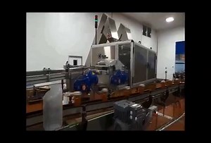 Capping Machine | IC Filling Systems