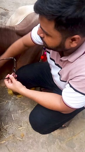 2.2K views · 42 reactions | #হাতিম 懶癩 | Bangladeshi Cow Lover official | Facebook